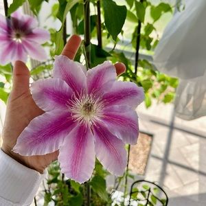 Meet your Posher, Karina